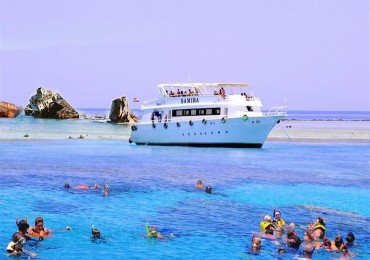 Diving and Snorkeling tour in Ras Mohamed from Sharm el Sheikh Port